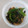 じう630's cooksnap of when they made 秋茄子とピーマンのゴマ油炒め.