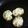 くるみ小枝's cooksnap of when they made 簡単☆長芋のチーズ焼き.