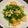 ぱふぃん．'s cooksnap of when they made 鶏むね肉と豆苗のピリ辛炒め.