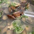 ナオゾウ☆'s cooksnap of when they made 韓国風あさりスープ.