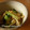 ののぉ's cooksnap of when they made 青梗菜の煮びたし.