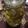 YAMADAきっちん's cooksnap of when they made すだちのお酒.