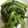 みずの花's cooksnap of when they made ++小松菜の中華風おひたし++.