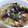 単！！'s cooksnap of when they made だしタコ焼き.