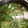 のりこったん's cooksnap of when they made ネギと豆腐の中華スープ＊.