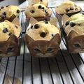 ちゃっくんママさん's cooksnap of when they made しっとりチョコチップマフィン.