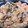 とりまる◎'s cooksnap of when they made 鮭ときのこの炊き込みご飯.