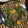ぷんしゅ's cooksnap of when they made 混ぜるだけ！柿と生ハムの新食感サラダ.
