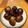GoGo島みかん's cooksnap of when they made フライパンで焼き栗.