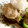 ♬タ〜リラリラ〜♬'s cooksnap of when they made 大根おろしであっさり　しいたけの肉詰め.