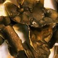 ニャンコリッキー's cooksnap of when they made 昆布〆後の昆布チップス.