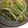 キャップとラム's cooksnap of when they made アスパラともやし炒め.