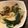 クック1OC20D☆'s cooksnap of when they made パクチョイとしし唐のうま塩ニンニク炒め♫.