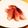 ☆Rionちゃん☆'s cooksnap of when they made みょうがの甘酢漬け.