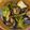 クックVOY1Q3☆'s cooksnap of when they made なすとピーマンの炒め煮.