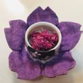 ゆうみづき's cooksnap of when they made 菊の甘酢漬け.