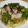 くっくのん's cooksnap of when they made 大根おろしとツナの　さっぱり和風パスタ✿.