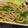 qzqnnj's cooksnap of when they made 豆苗とツナの焼うどん.