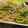 qzqnnj's cooksnap of when they made 豆苗とツナの焼うどん.