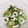 amjkao's cooksnap of when they made 胡瓜とちくわの酢の物.