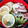 non♪tan♪'s cooksnap of when they made すだち農家イチオシ♪煮込み風すだちうどん.