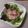 よちりん's cooksnap of when they made 師匠直伝、飽きない刺身サラダ中華風♪.