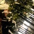 KIRA☆星ッ❕'s cooksnap of when they made 【覚書】三杯酢・二杯酢・甘酢.