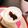 choco831's cooksnap of when they made 朝食&デザートにも♥ヨーグルト生クリーム.