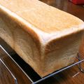 もいこ196482's cooksnap of when they made パン屋さんのようなしっとり毎日パン.