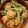 サクサクサクラぱんだ's cooksnap of when they made 簡単おつまみ☆ホタテと水菜のマヨマス炒め.