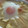 きょんこぷーこ's cooksnap of when they made めちゃ簡単ダイエット♪おからのドリア風っ.