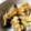 wgyo's cooksnap of when they made 【簡単】きのこの卵とじ（10分）.