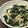 クックZ8J4H4☆'s cooksnap of when they made ごま油薫る、わかめとえのきのナムル.