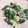 みっくママ's cooksnap of when they made ほうれん草・豆腐・しらすのマヨ醤油炒め！.