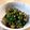 acoron's cooksnap of when they made 常備菜☆セロリの葉の梅おかか炒め.