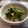 るるキキケイコ's cooksnap of when they made セロリの塩昆布炒め.