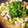 oomakiooo's cooksnap of when they made 簡単！和風丸ごとレタス鍋♪.