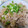 凪なぎ's cooksnap of when they made 塩だれ豚丼.