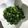 ☆琉мaмa☆'s cooksnap of when they made ★ご飯がススム＊大根葉のゴマ油炒め＊♪.