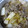M3doors111's cooksnap of when they made 牛肉 白菜の すき焼き風 鍋♪.