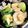 ゆうともままっち's cooksnap of when they made えびとブロッコリーの中華あんかけ♫.