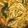 クック6E1ZGB☆'s cooksnap of when they made うどんで〆和風カレー鍋.