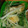 イシchan's cooksnap of when they made 簡単！うすあげと水菜炒め.