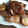 yupiyupiyupi's cooksnap of when they made エリンギと豚肉の炒め物.
