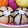 ♥さと♥'s cooksnap of when they made 幼稚園の子供用お弁当☆てまりおにぎり.