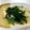 ちぃる's cooksnap of when they made 鱈のムニエル春菊あんかけ.