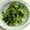 ゆうちゃんシェフ's cooksnap of when they made 豆苗の塩昆布和え 3分で出来る簡単副菜♪.