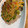 さゆゆゆこ's cooksnap of when they made カニカマとキャベツのもちもち焼き.