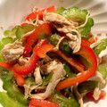 ame-ikuru's cooksnap of when they made ゴーヤとささみの☆中華和え.