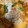 beroneete's cooksnap of when they made 簡単！しっとりムネ肉ともやしのトマト炒め.